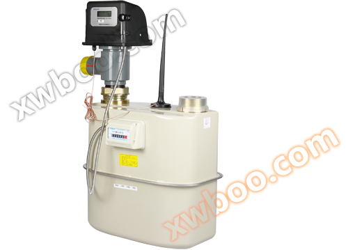 Ipari és kereskedelmi IoT gázmér?k