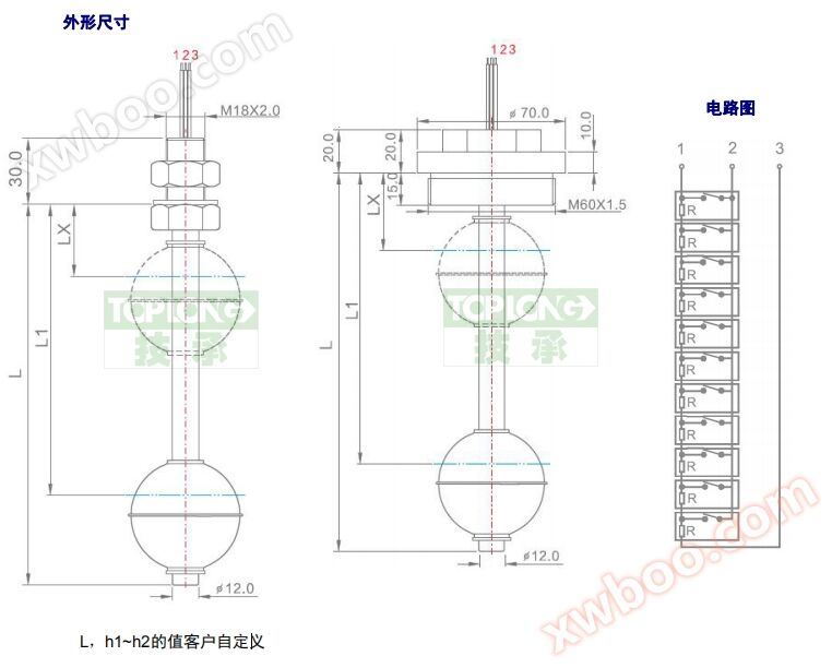 2260型直杆式液位计（开关）
