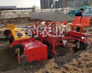 사행 만수국 회전 경작 이랑 이식 일체기