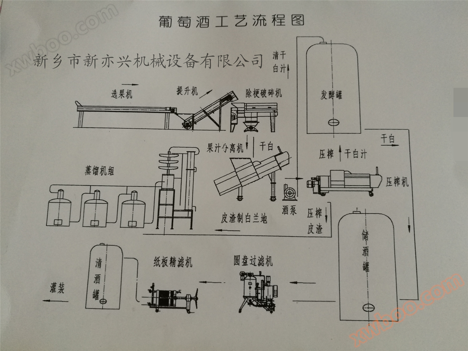 葡萄前处理生产线