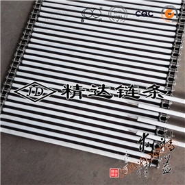 特氟龙管不锈钢链条串杆输送带