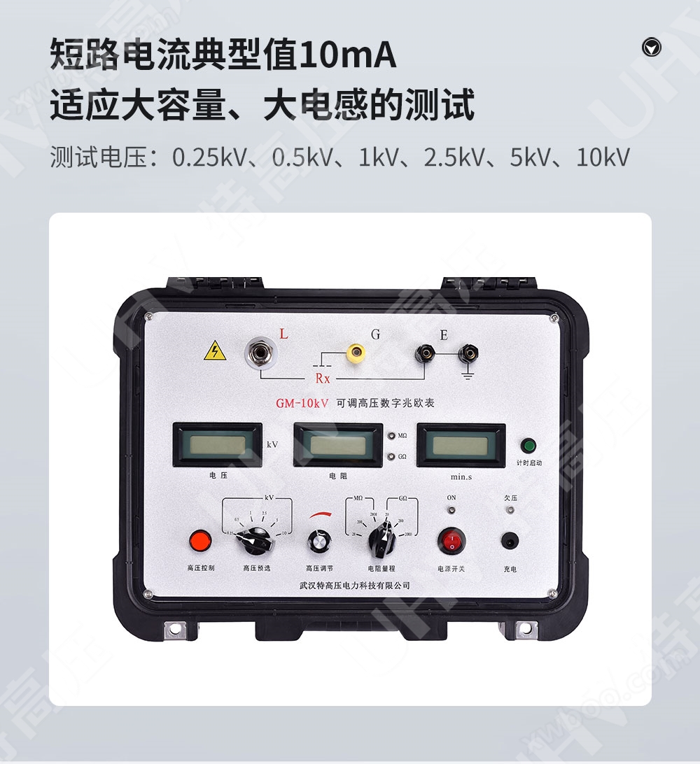GM-10kV 可调高压数字兆欧表(图3)