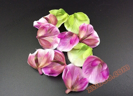 προσομοίωση λουλουδιών