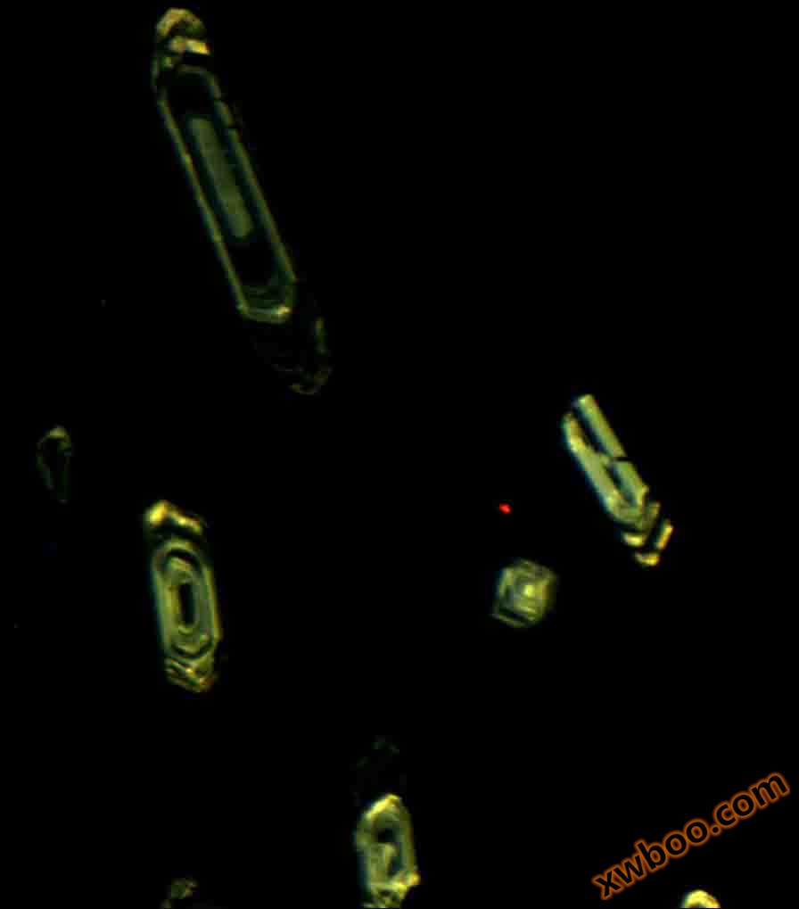 RELIOTRONブランドのRELIONIIICL陰極発光器