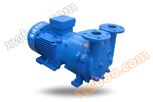 SKA(2BV) Wasserring-Vakuumpumpe