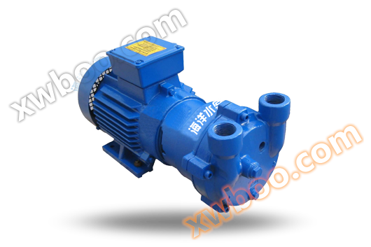 SK-Z Direktverbindung Wasserring Vakuumpumpe