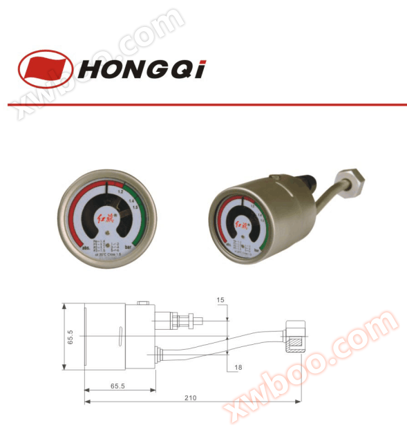 YSF-60II Gas Density Relay