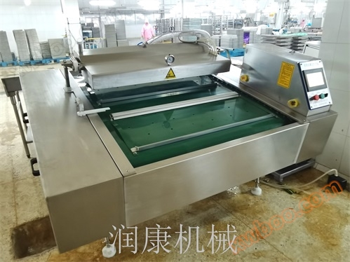 ماشین بسته بندی خلاء مداوم (کیسه بسته بندی با ارتفاع 52 سانتی متر ...