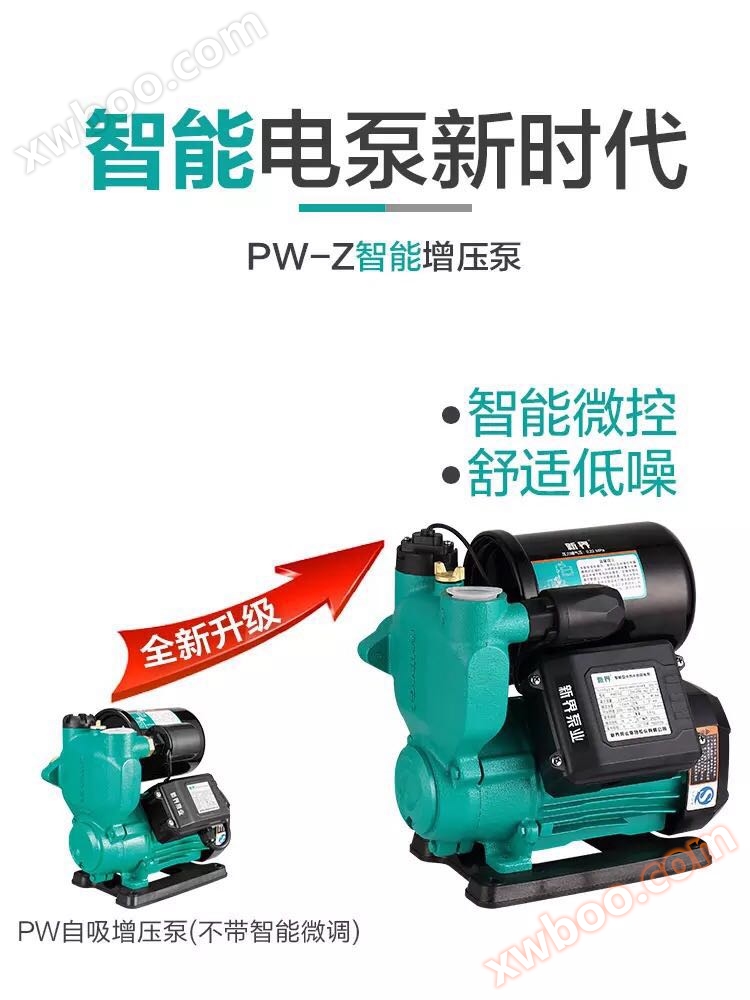 Automatic Booster Pump 