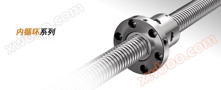 Seria circulară interioară de șurub cu bile de precizie