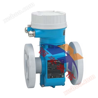 German E+H high-temperature small electromagnetic flowmeter P100 imported electromagnetic flowmeter Xi'an Aoxin