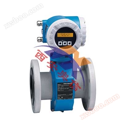 51W German E+H metering water flow meter 51W electromagnetic flow high protection IP68