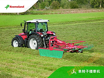 Gran single rotor rake