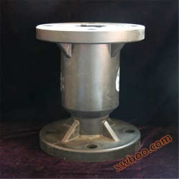 FRPP check valve
