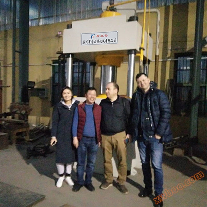 Machine de presse liquide de gâteau de copeaux 630t