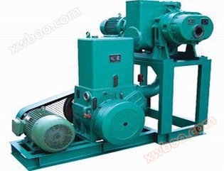 Unidad de bomba de vacío de raíces de válvula deslizante jzjh