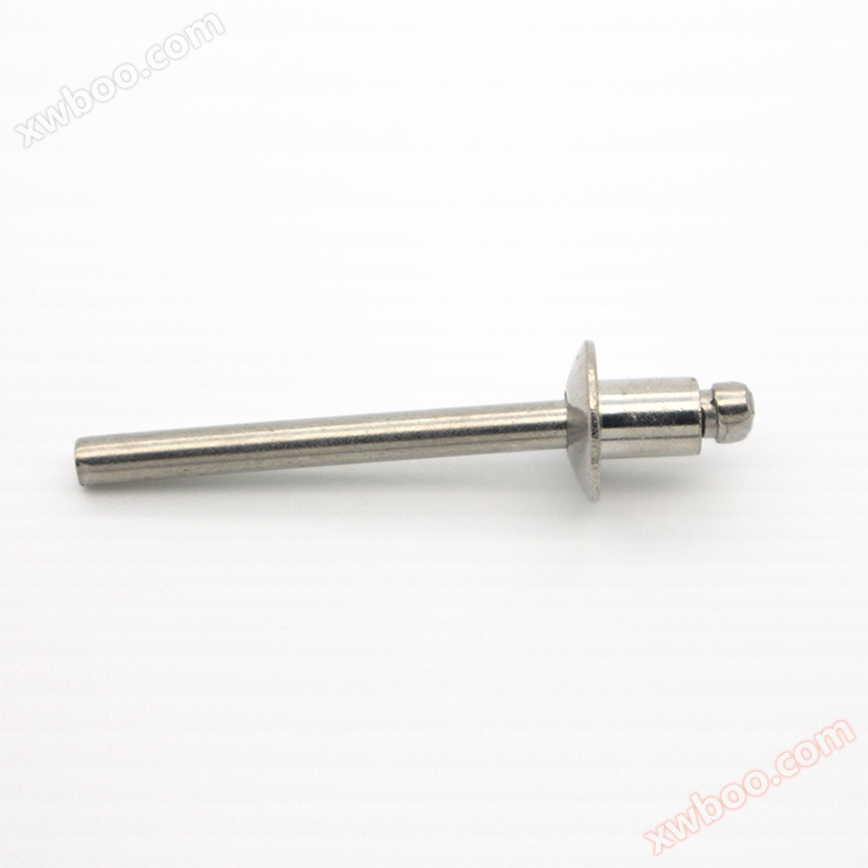 Open round head all stainless steel pull nail