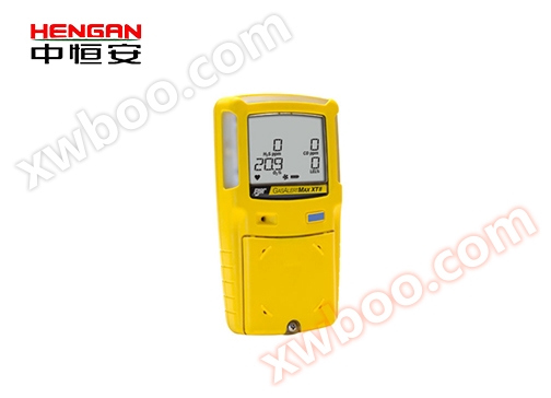 ম্যাক্স-এক্সটি II পাম্প শোষণ জ্বলনশীল গ্যাস ডিটেক্টর