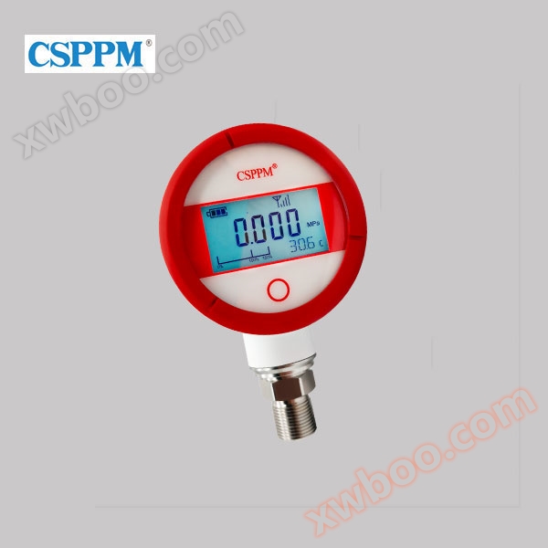 PPM-SXYB-P（P）経済型無線遠距離伝送圧力計