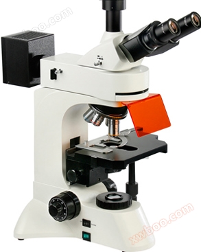 Positiv fluorescerande mikroskop CM200FL