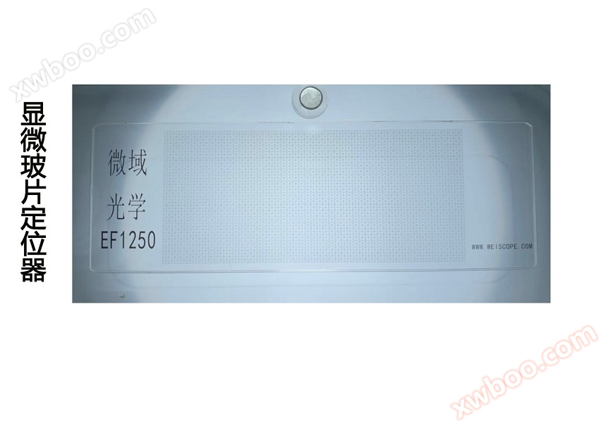 Microscope slide locator EF1250