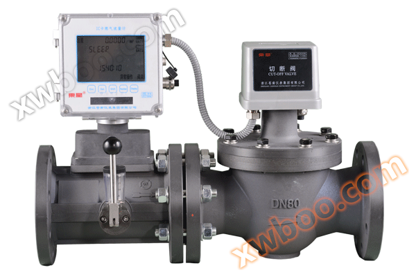 Flussometro per turbine a gas IC serie LWQC