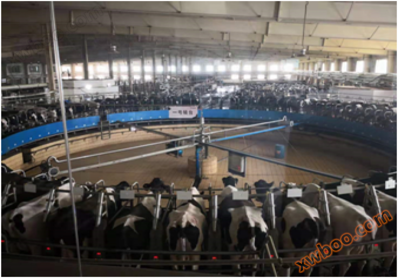 Intelligent monitoring system for breeding farms