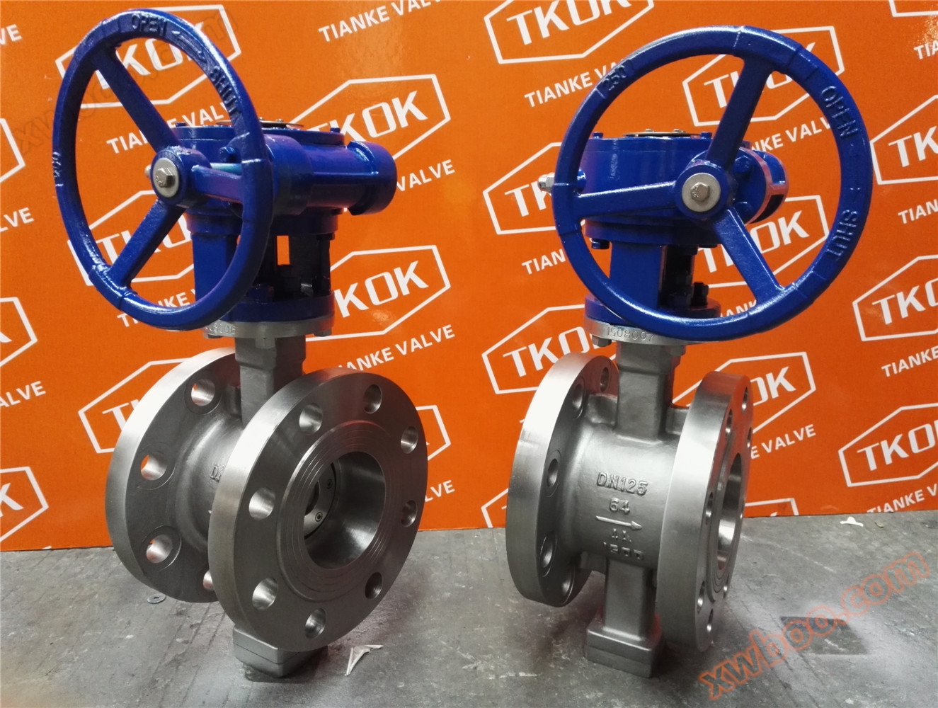 PN64-DN125 German standard flange type hard seal 4A duplex steel 2205 material worm gear butterfly valve