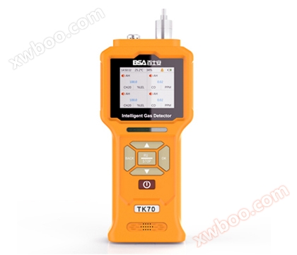 Pumpenförmiger VOC-Detektor für flüchtige organische Gase