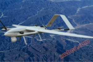 De rode draak 812 (CL-812) 100min@2kg Elektrische verticale start en landing vaste vleugel drone