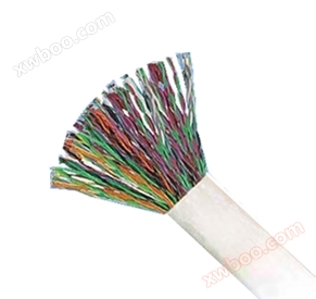 100 pairs of Class V flame-retardant twisted pair cables