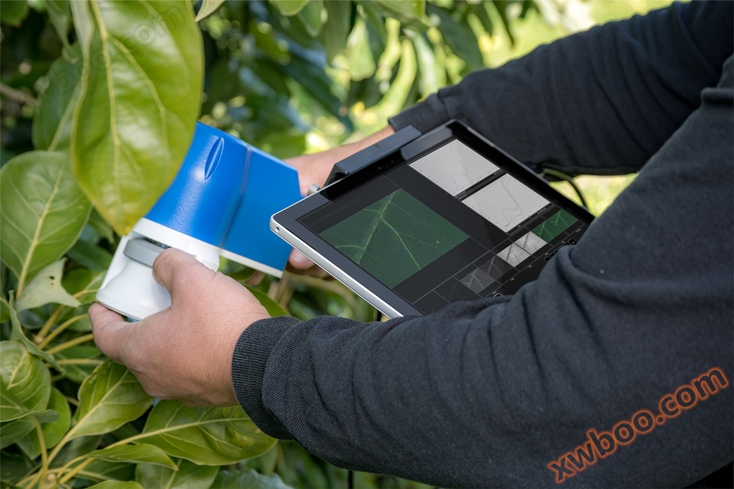 PhenoCheck tragbares Phänotyp-Bildgebungsspektrometer für Pflanzen