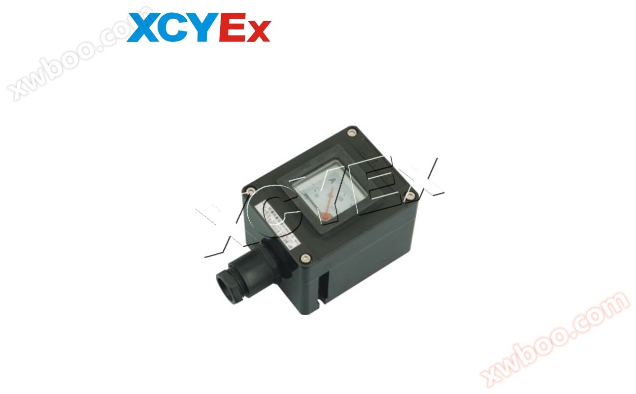 BYB8050 series explosion-proof and anti-corrosion instrument (e)