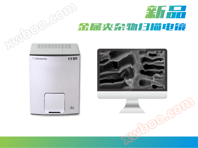 CUBE metal inclusion scanning electron microscope